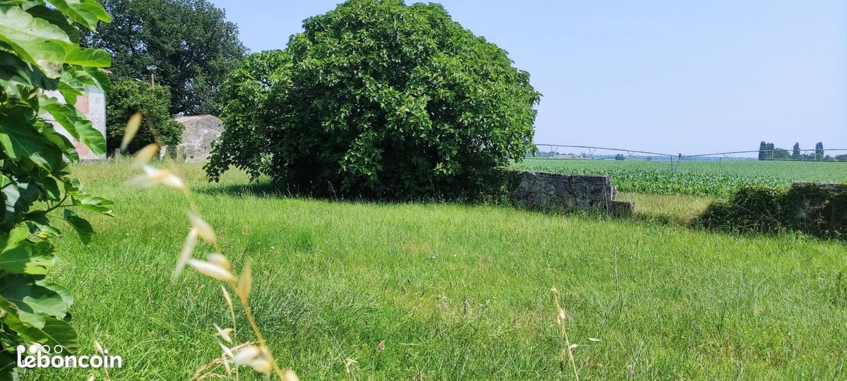 Terrain 893 m² Rioux · 49 000 €
