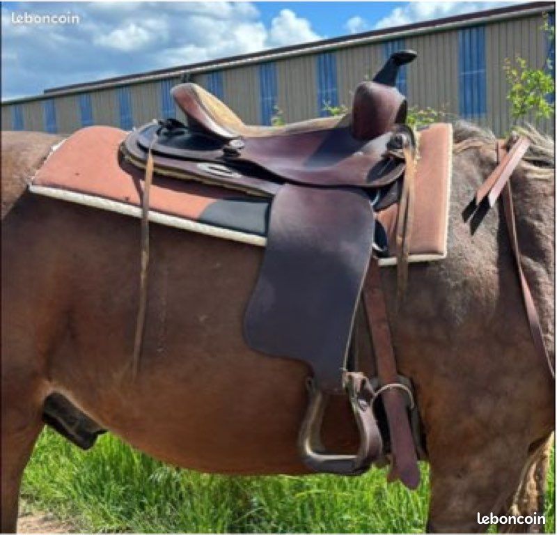 Ailes De Selle Western En Cuir - Paire De Rechange - Finition Panier Outillage - Ridex