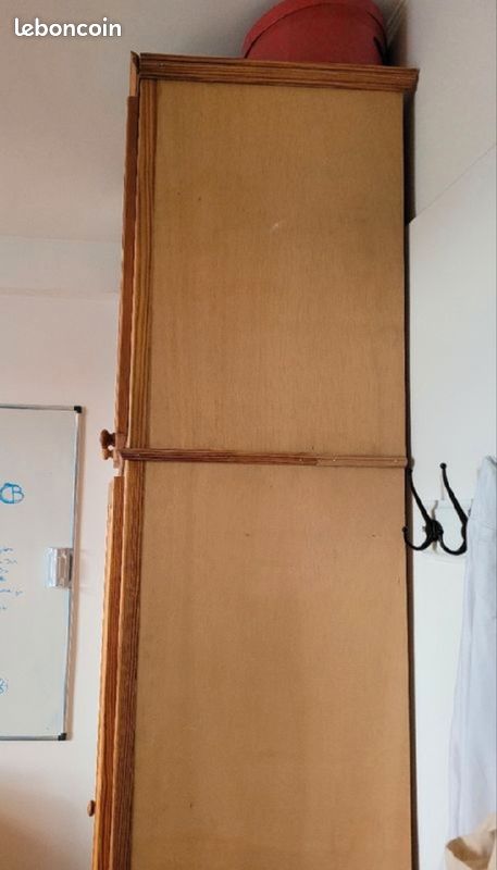 Armoise en bois (image 4)