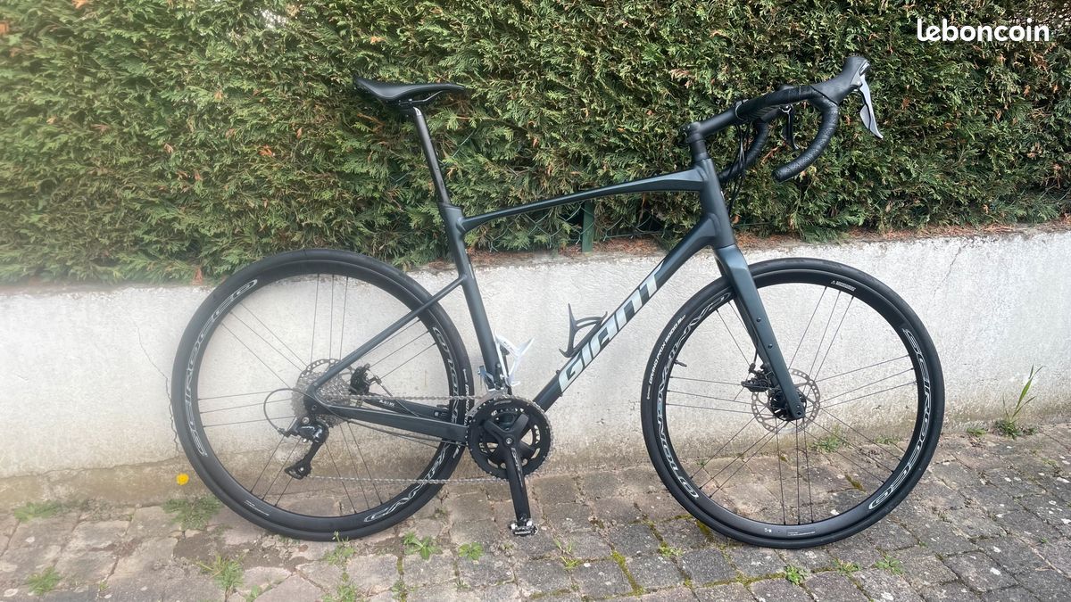 Giant Revolt 2 2025 XL (image 2)