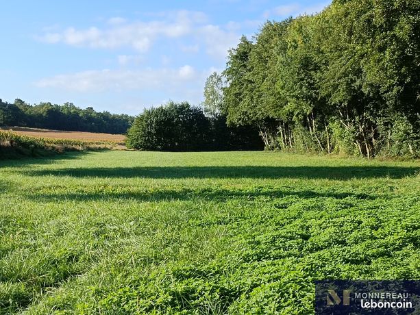 Terrain 6660 m² Condéon