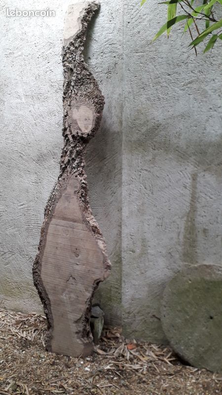 Bille de bois en chene (image 1)