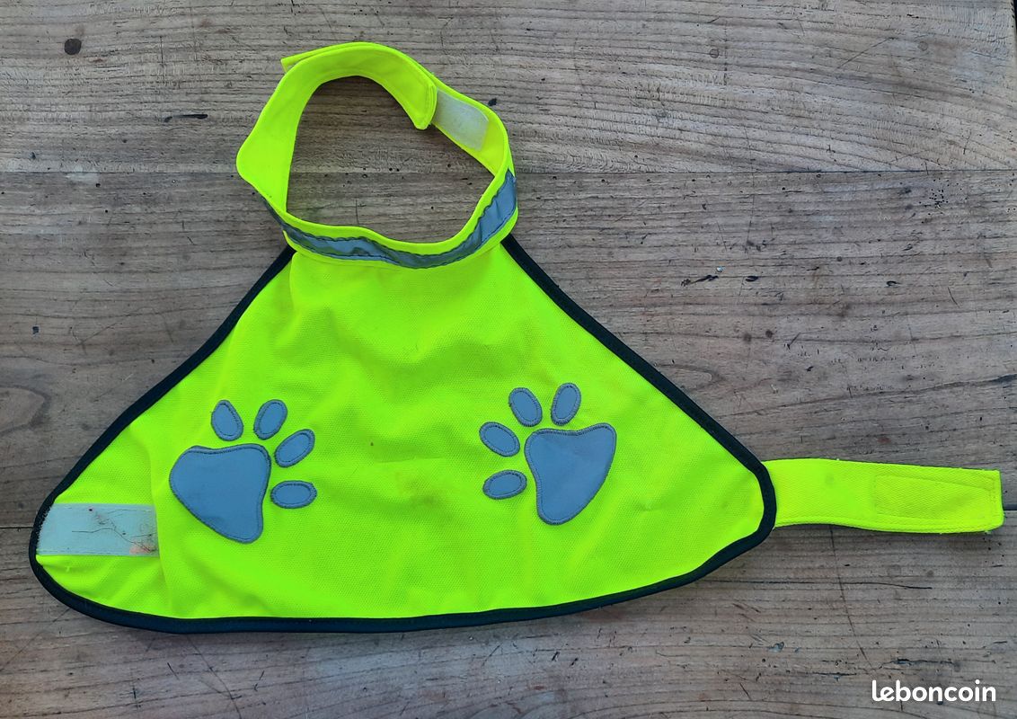Gilet jaune fluo pour petit chien ou chiot (image 1)