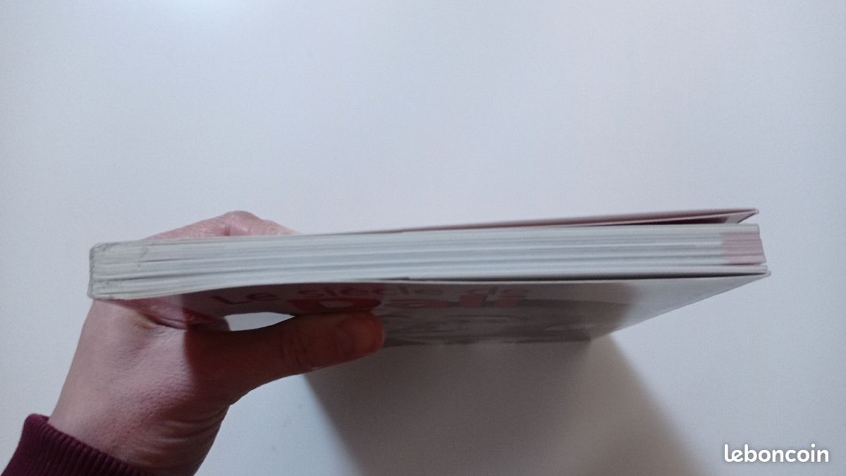 Livre le siècle de Dali (image 3)