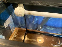 Aquarium JUWEL 240 litres (image 5)