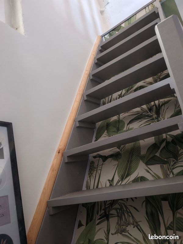 Appartement saiso (image 2)