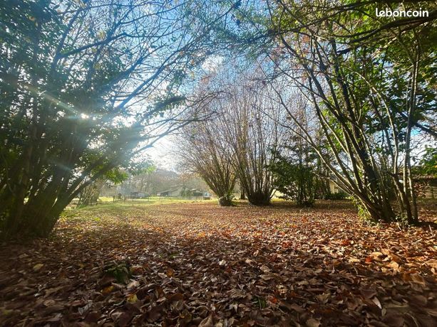 Terrain 2 532 m² Josse