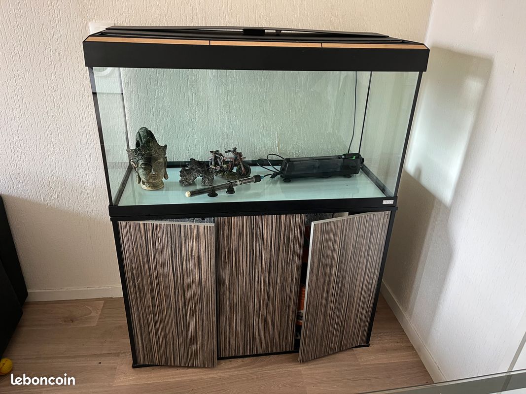 Aquarium (image 2)