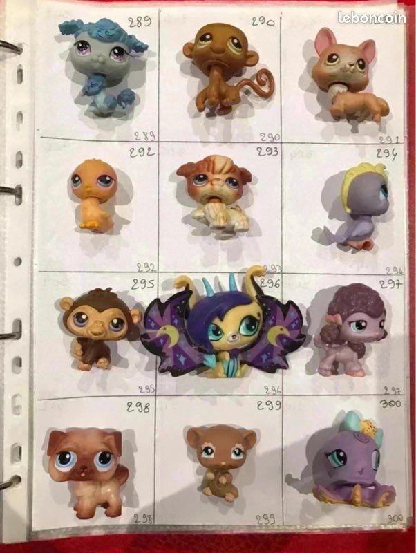 Petshop 2 1 (image 5)
