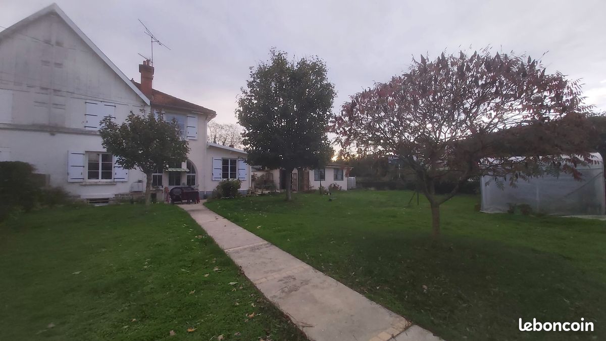 Récupère/Sauvez vos Bonsais abandonnés (image 3)