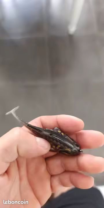 Leurre De Pêche Vintage Traveling Crankbait - Brevet 3744175 - Années 70 - Rare