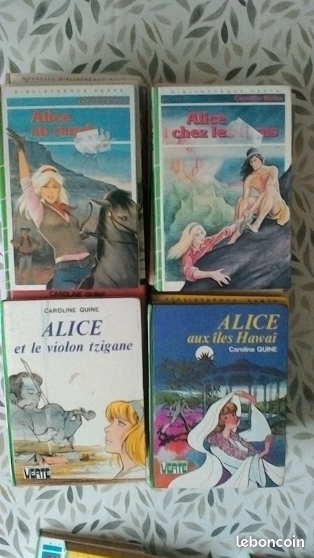 Lot 29 biblio rose verte (image 6)