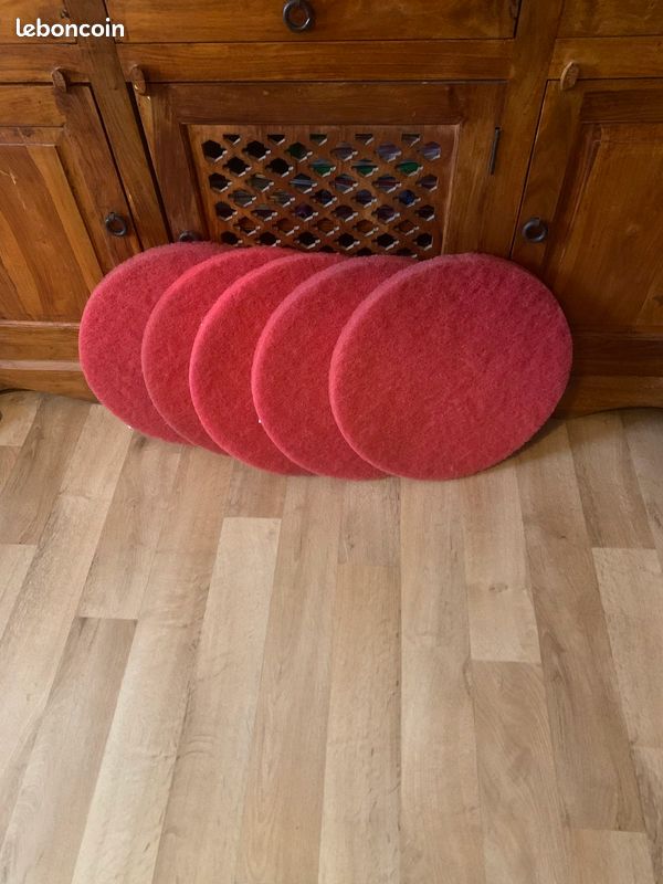 Disque pour mono brosse (image 1)