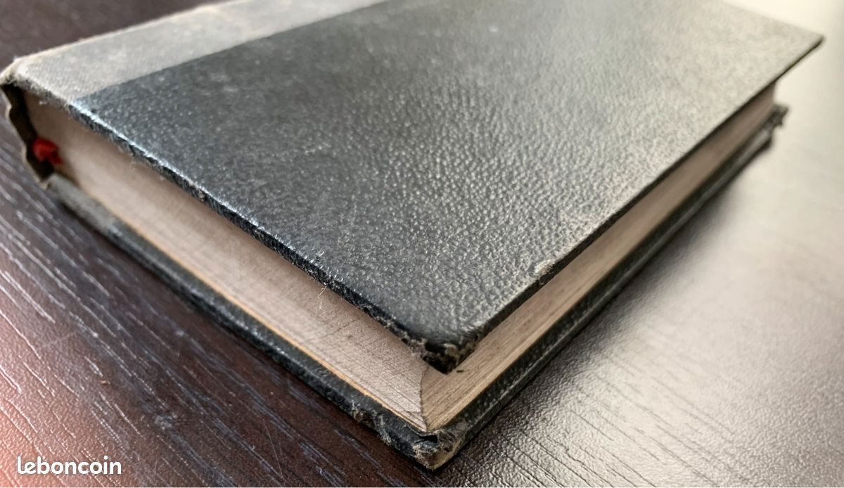 Livre religieux catholique de 1866 l’année de Marie (image 2)