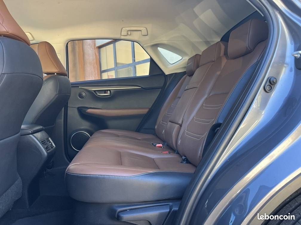 Lexus NX 300h 4WD Luxe (image 11)