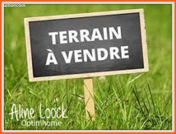 https://img.leboncoin.fr/api/v1/lbcpb1/images/cc/04/f8/cc04f8eaf8c358a432c90afc303abb9fba58124a.jpg?rule=ad-image