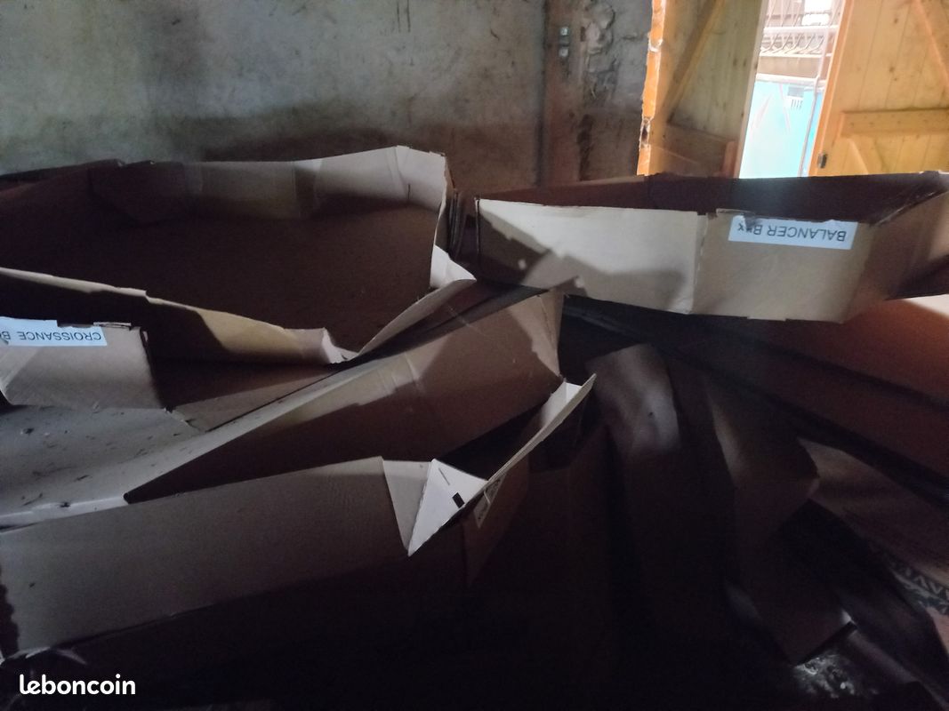 Donne cartons épais (image 2)