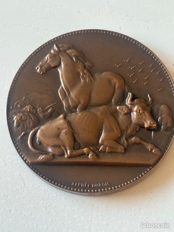 médaille en bronze ancienne signée Alphée Dubois