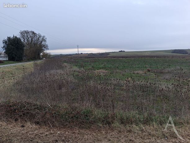 Terrain 3000 m² LE FAGET