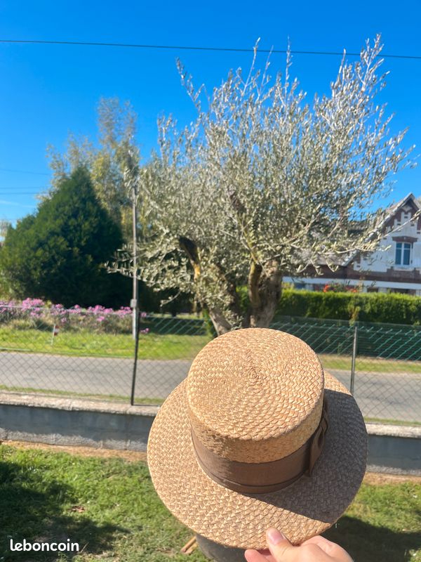 Chapeau (image 2)