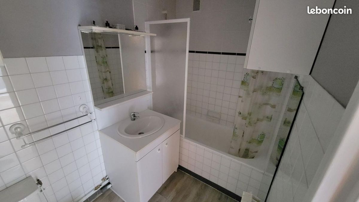 Appartement 1 pièce 32 m² - Limoges 87000 (image principale 3)