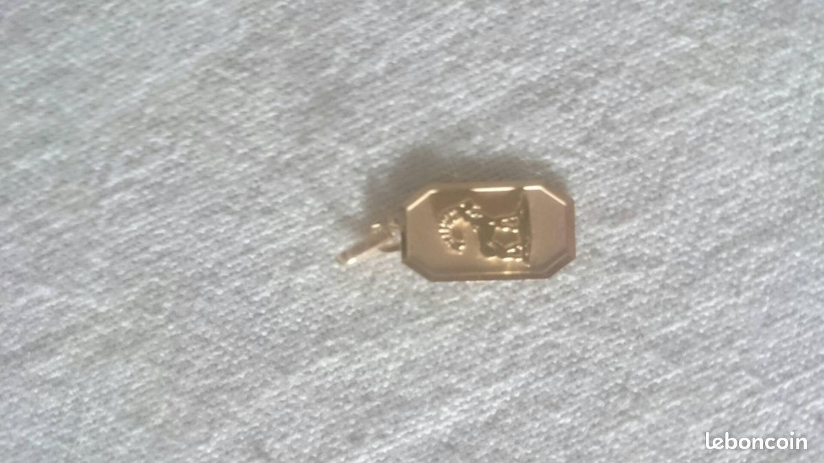 Pendentif capricorne plaque or (image 1)