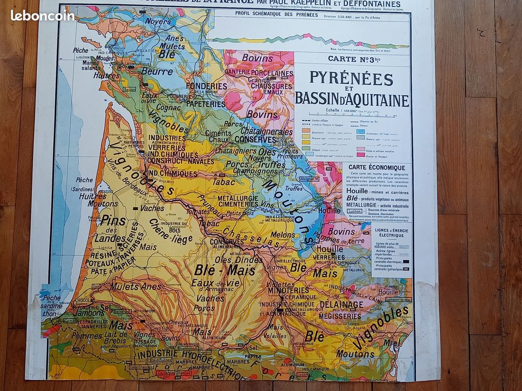 Carte murale scolaire ancienne Pyrénées et bassin aquitain (image 2)