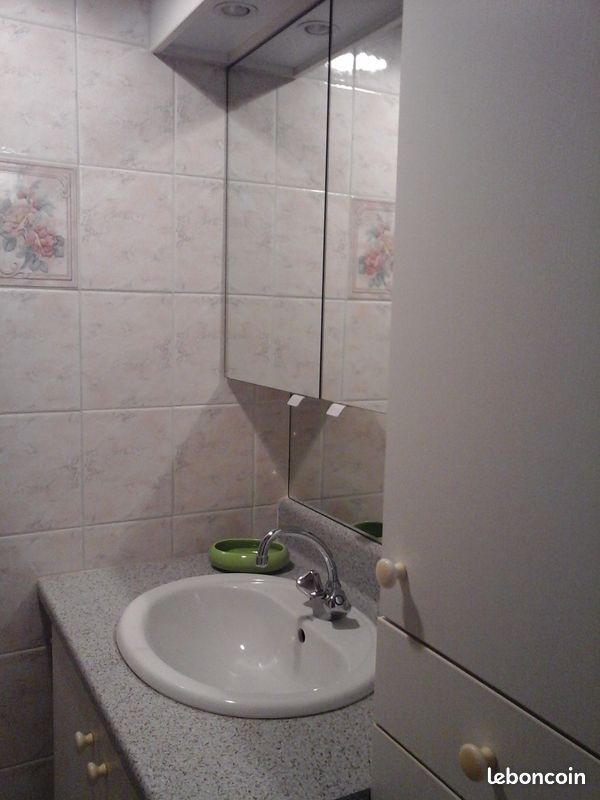 A louer studio à Oloron ste marie - Oloron-Sainte-Marie 64400 (image 3)
