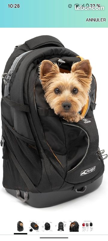 Son Chien Sac Transport Chien Train Wanderpfote Daypack Sac à Dos