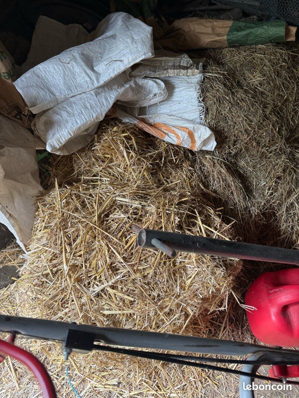 Bottes de pailles (image 2)