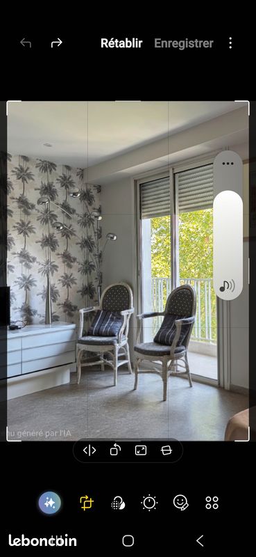 Fauteuil style Louis Philippe (image 1)