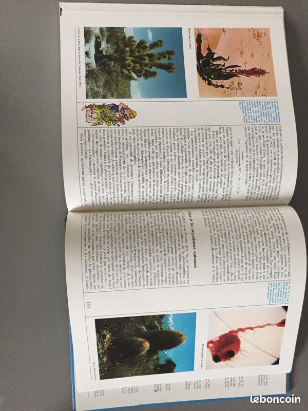 La fabuleuse histoire de l’eau (image 3)