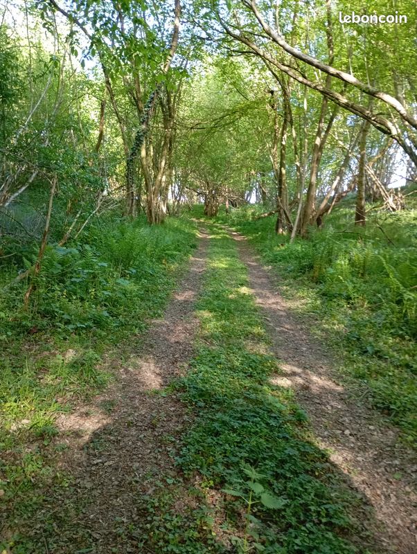 A vendre parcelle forestière Aizier · 19 000 €