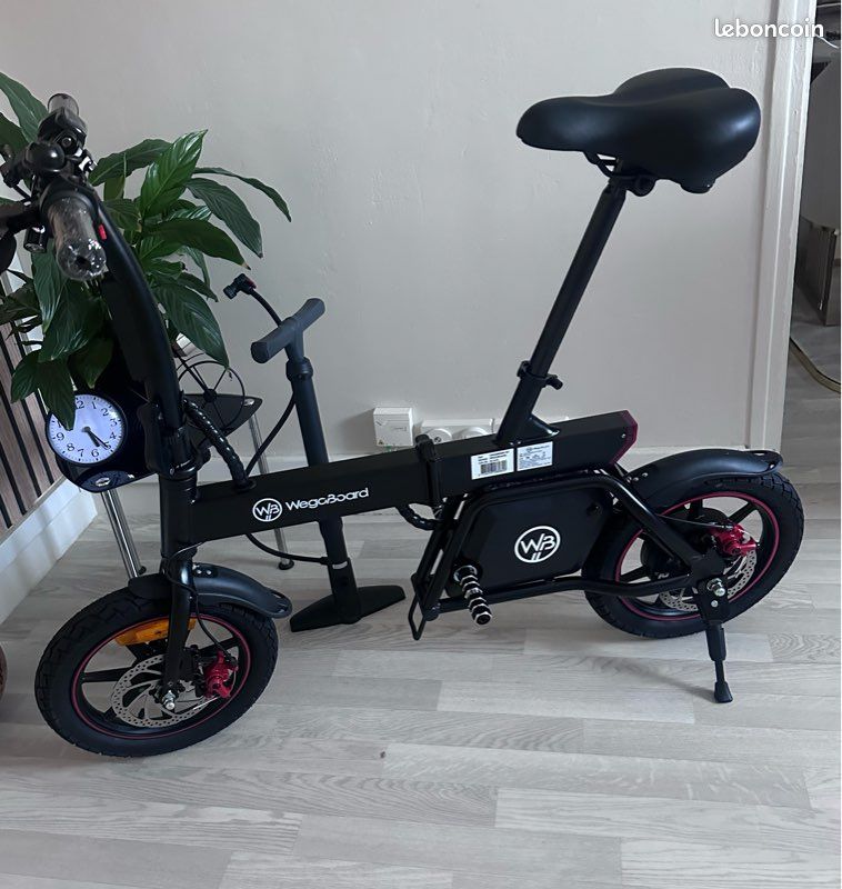 Draisienne électrique Wegoboard échange contre VTT Vélos