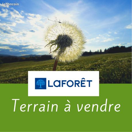 https://img.leboncoin.fr/api/v1/lbcpb1/images/cc/44/78/cc44787b150d4ecbc244c5f8c423de3f4f212224.jpg?rule=ad-image