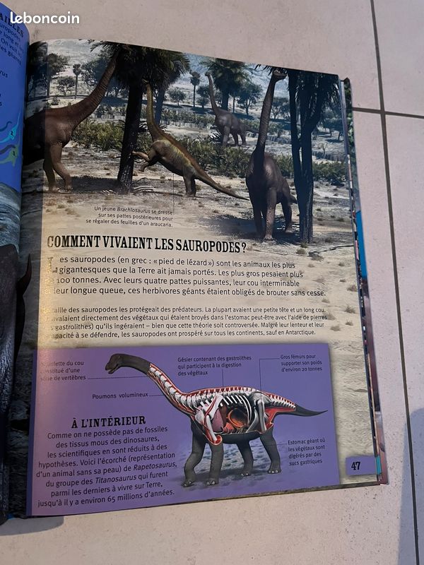 Le grand livre qui explique tout (image 3)