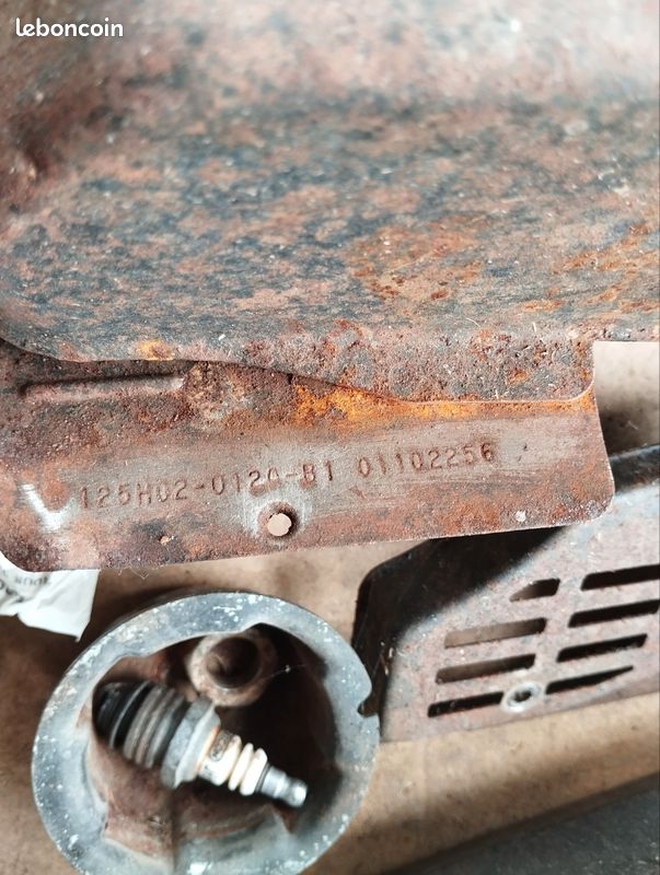 Moteur débroussailleuse (image 1)