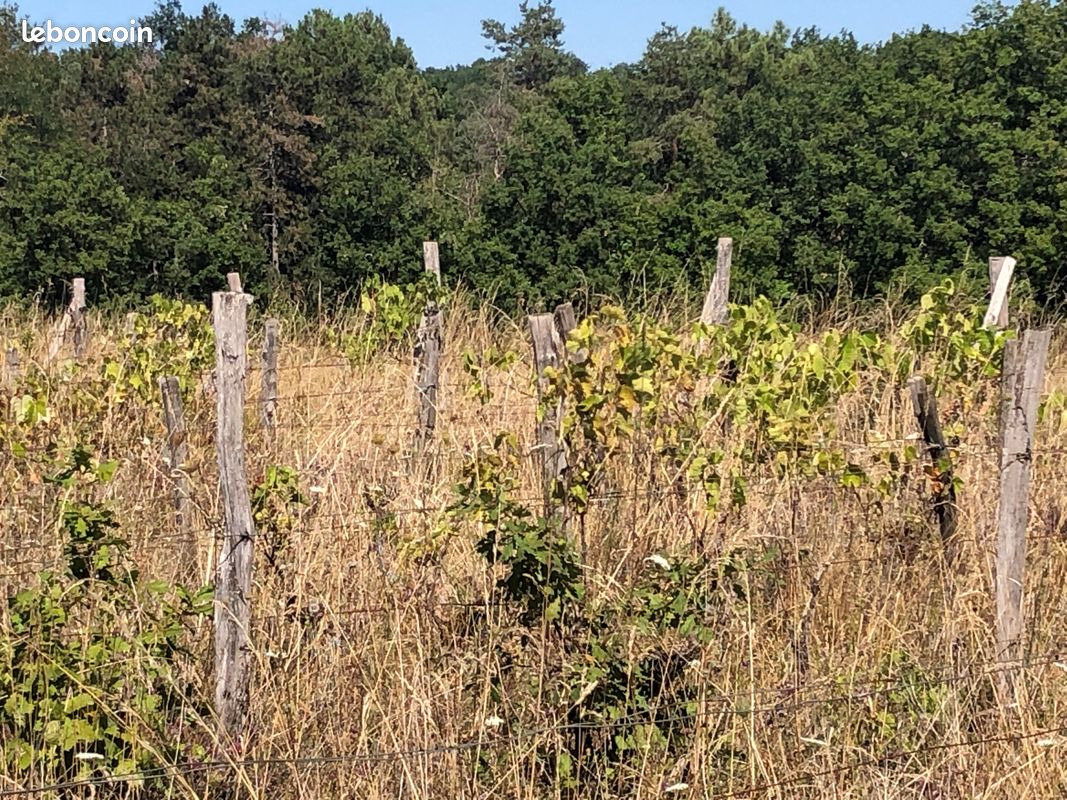 Terrain Agricole · au Pian-Médoc · 15 000 €