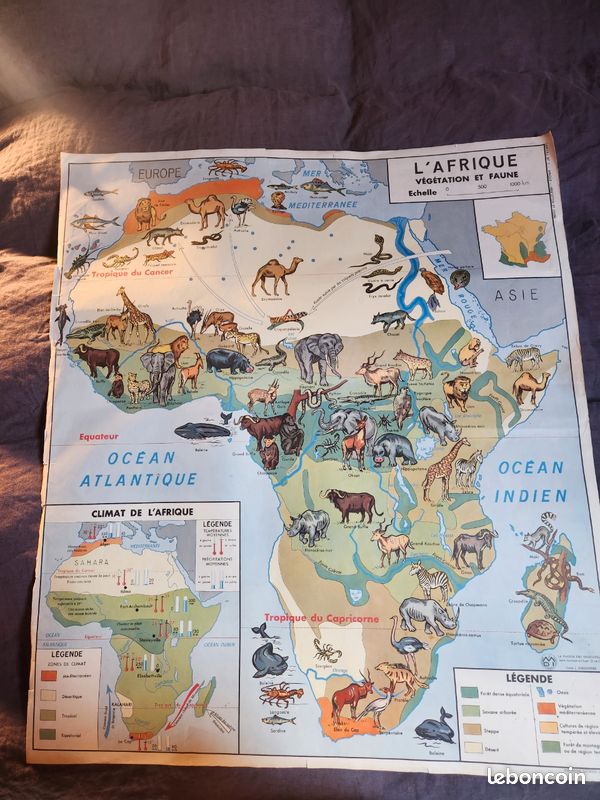 Carte scolaire, Ancienne affiche d'école d'avant-guerre avec écureuil Carte scolaire, Ancienne affiche d'école d'avant-guerre avec écureuil