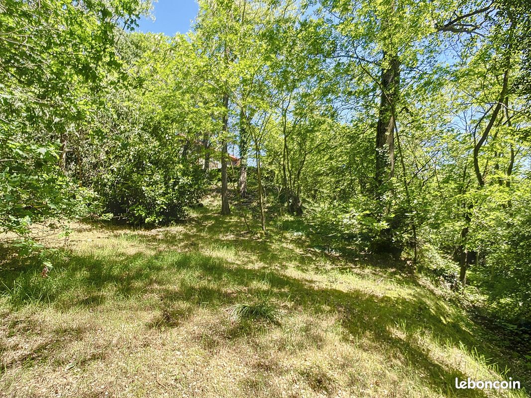 Propriété 6 pièces 140 m² (image 3)