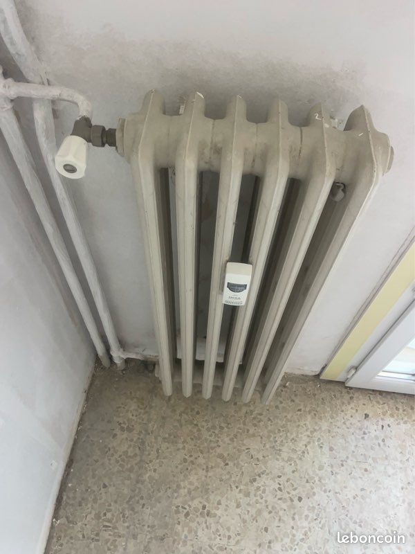 Radiateurs en Fonte (image 2)