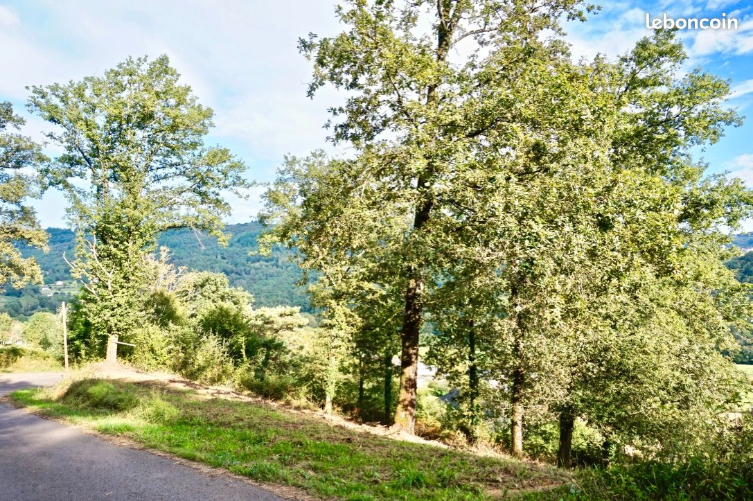 Terrain 1200 m² SAINT HILAIRE PEYROUX (image 2)
