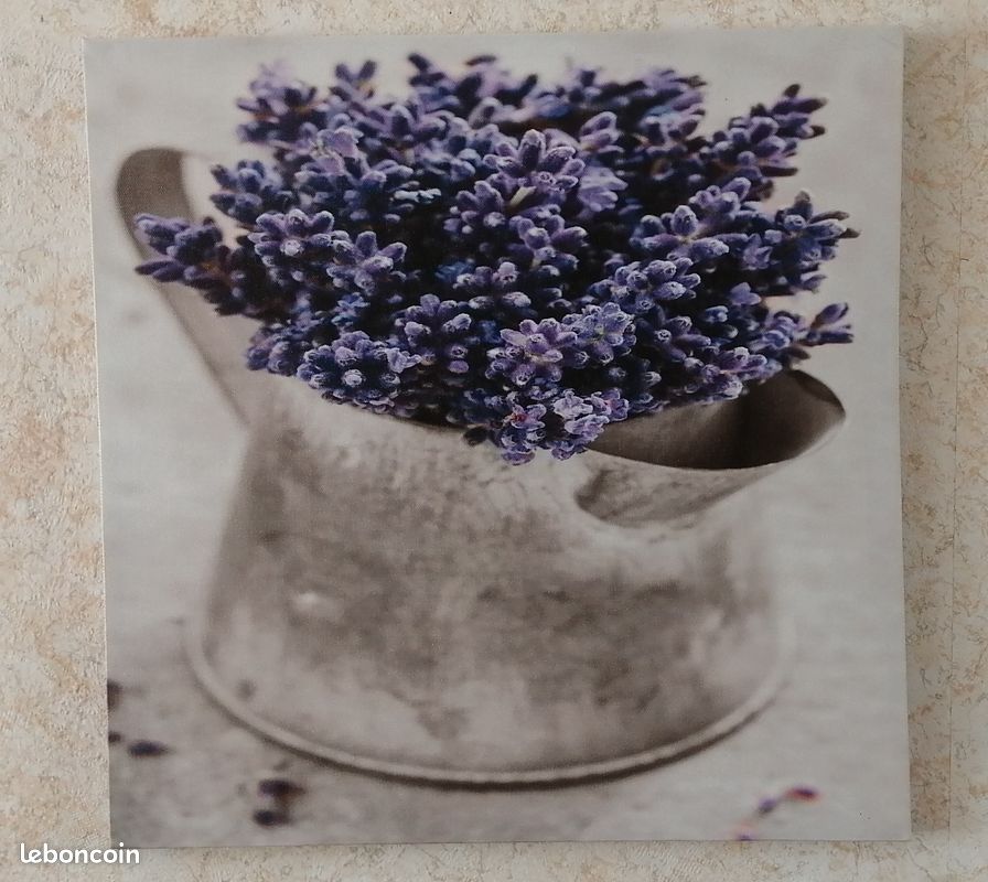 Cadre sur toile (image 1)