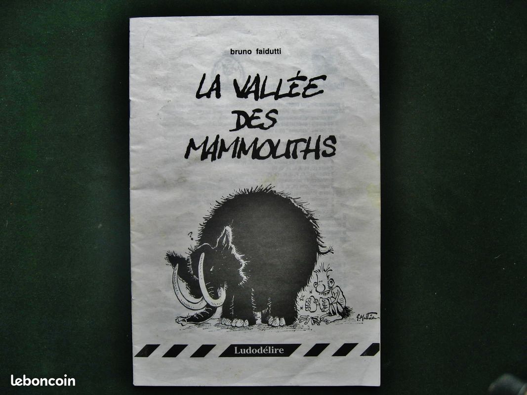 JEU DE SOCIETE LA VALLéE DES MAMMOUTHS / LUDODELIRE 1991 (image 4)
