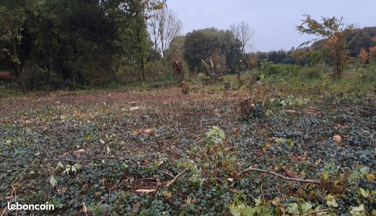 Terrain constructible Wanquetin Pas de Calais · 55 000 €