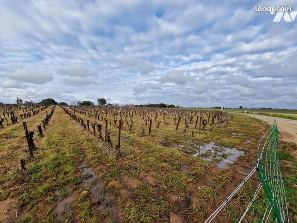 Terrain 58962 m² BEAUVOISIN