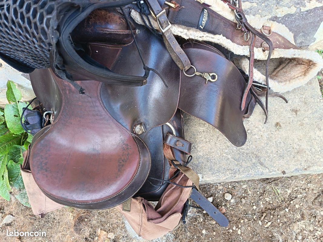 Cheval Western Adulte En Cuir Outillé Remplacement Mauritius