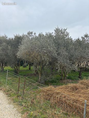Terrain 827 m² Cheval-Blanc