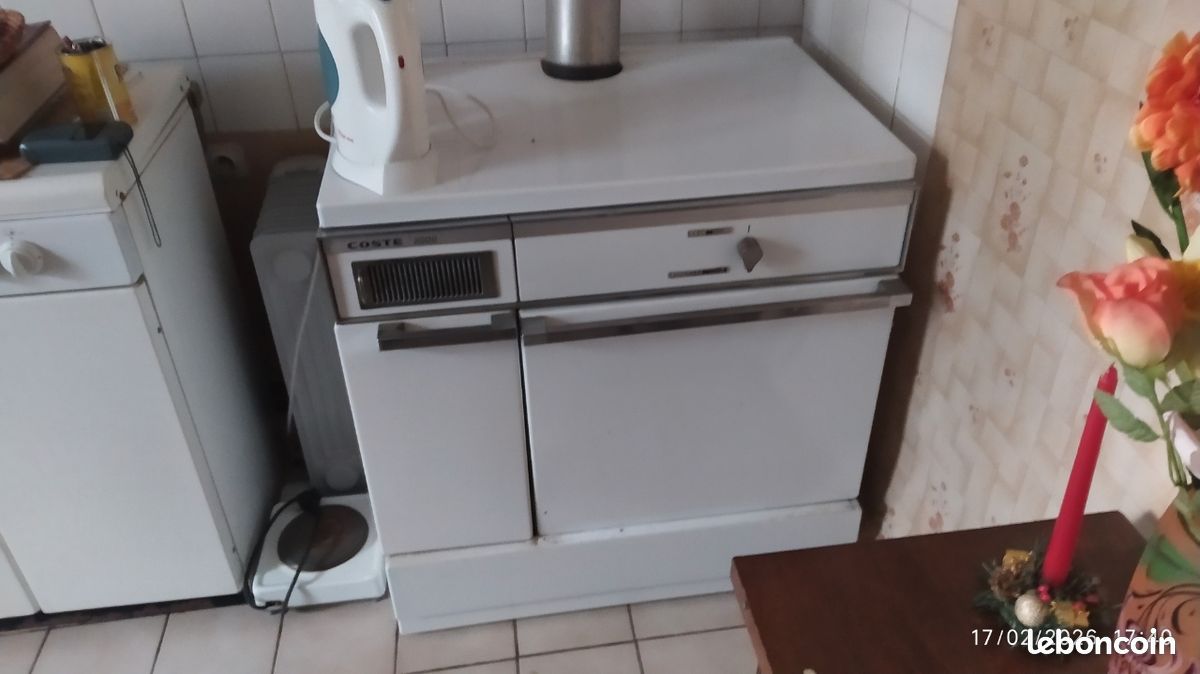 Fourneau a bois marque coste (image 3)