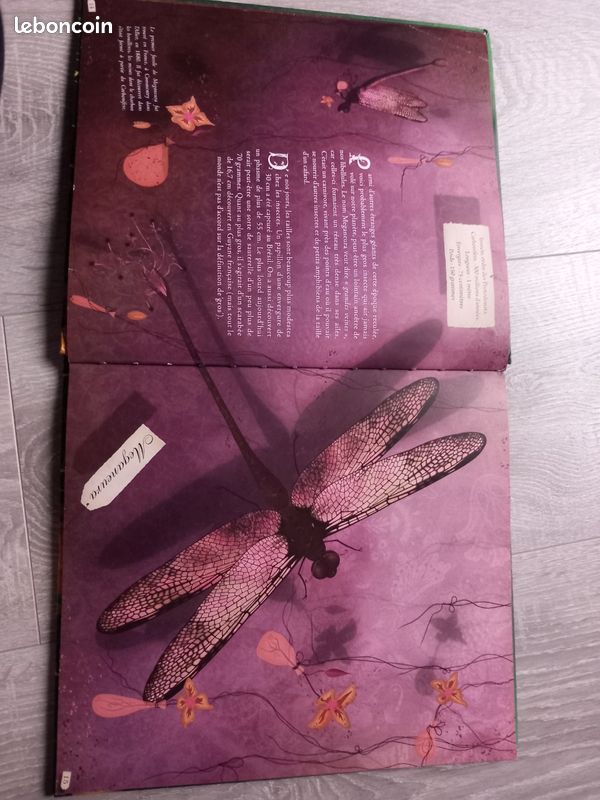 Lot livres sur les dinosaures (image 16)